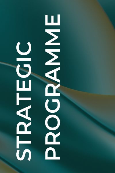 strategic programme lolamontalban consultancy and training